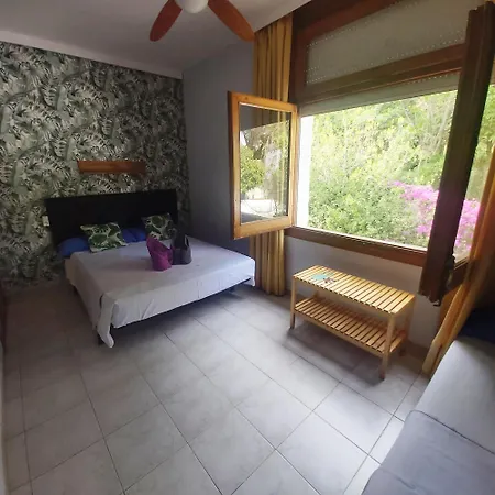 Bonsol Adults Only 2*