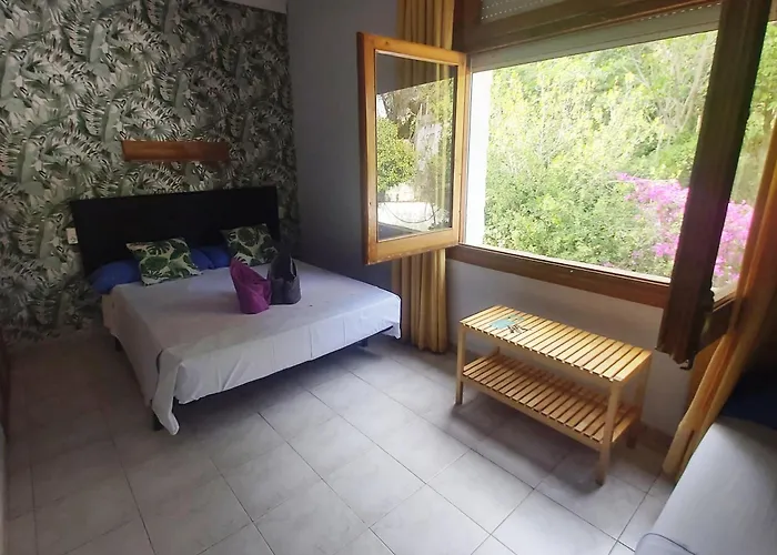 Bonsol Adults Only 2*