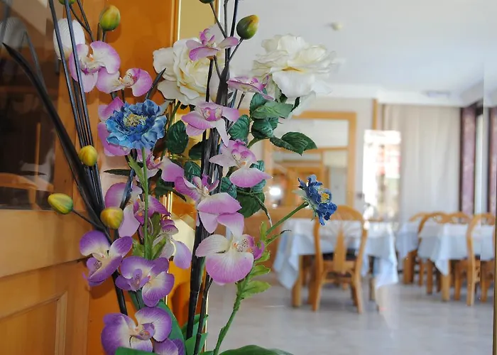 Bonsol Adults Only 2* Lloret de Mar