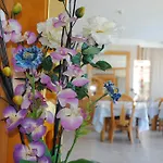 Bonsol Adults Only 2* يوريت دي مار