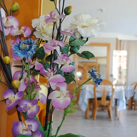 Bonsol Adults Only 2* Lloret de Mar