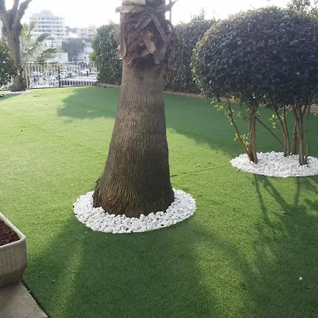 Hotel Bonsol Adults Only 2*