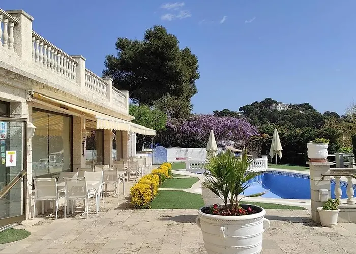 Bonsol Adults Only 2*