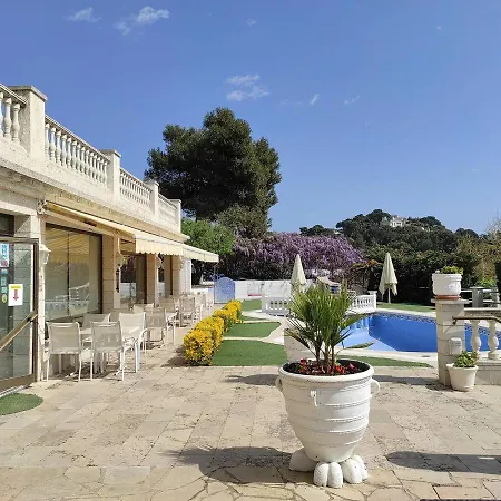 Bonsol Adults Only 2*